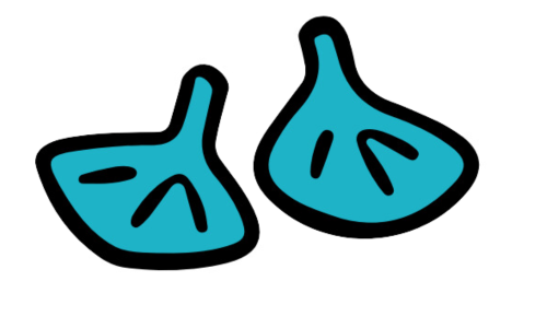 medias-patas-azules