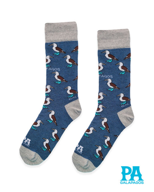 Piqueros Patas Azules Fondo Azul Jaspeado