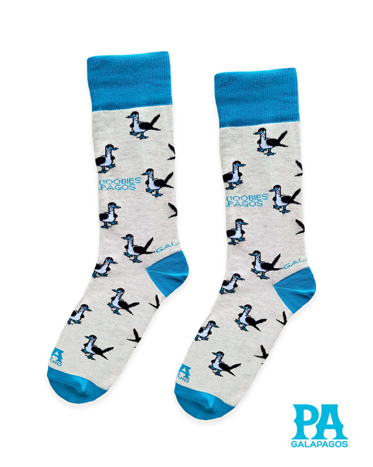 Piqueros Patas Azules Fondo Blanco Con Puntos Celestes