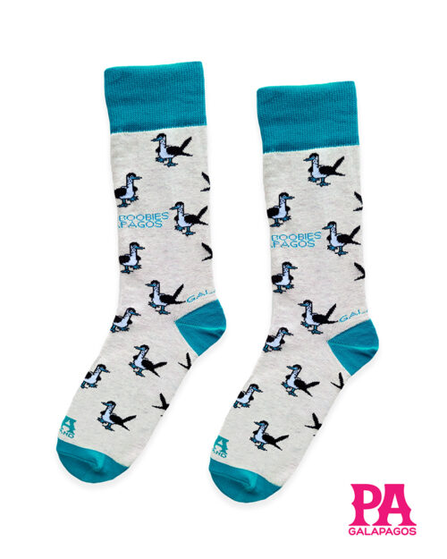 Piqueros Patas Azules Fondo Crema