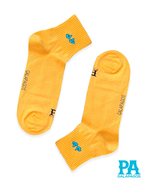 Patitas Azules Amarillo