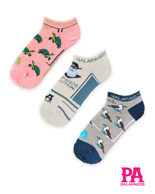 Tortugas Terrestres, Charles Darwin Y Piqueros Patas Azules