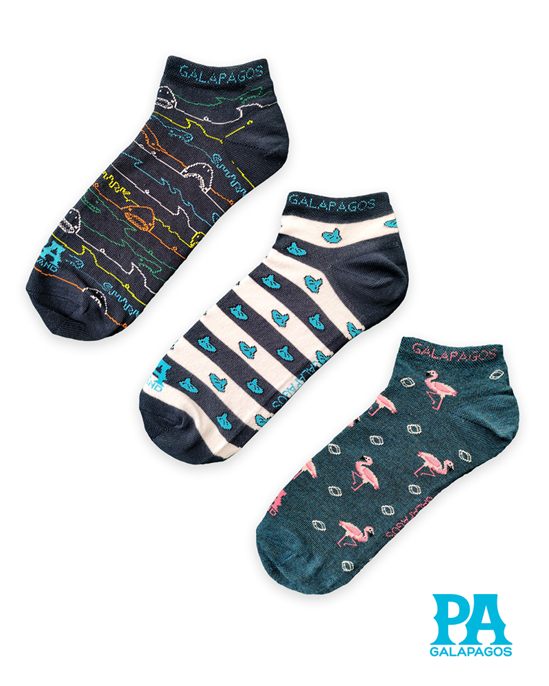 Flamingos Patitas Y Tiburones