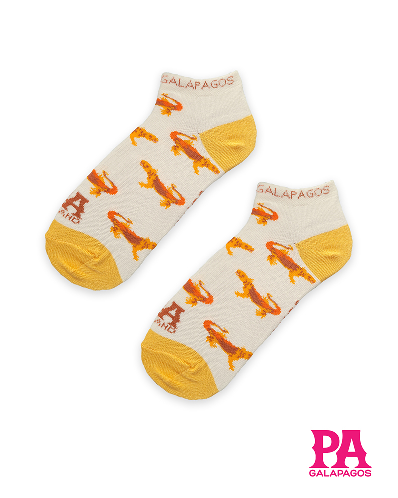 Iguanas Terrestres Fondo Blanco