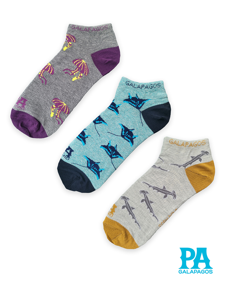 Mantarrayas Tiburones Martillo Y Medusas