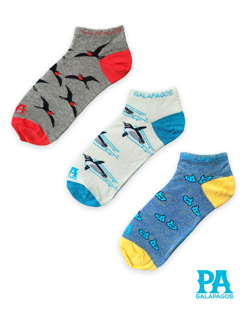 Patitas Fragatas Volando Y Pingüinos