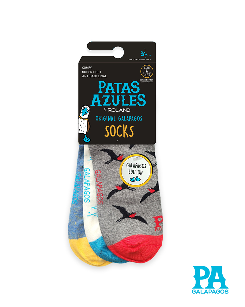 Patitas Fragatas Volando Y Pingüinos - Image 2