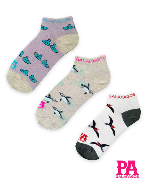 Pingüinos Fragatas Voando Y Patitas Azules