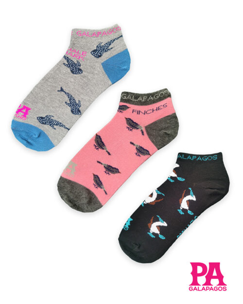 Pinzones Piqueros Y Tiburones Ballena