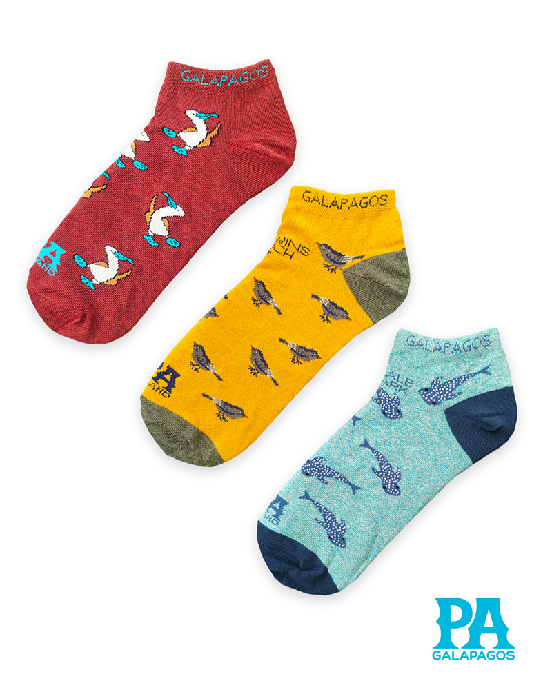 Pinzones Tiburones Ballena Y Piqueros