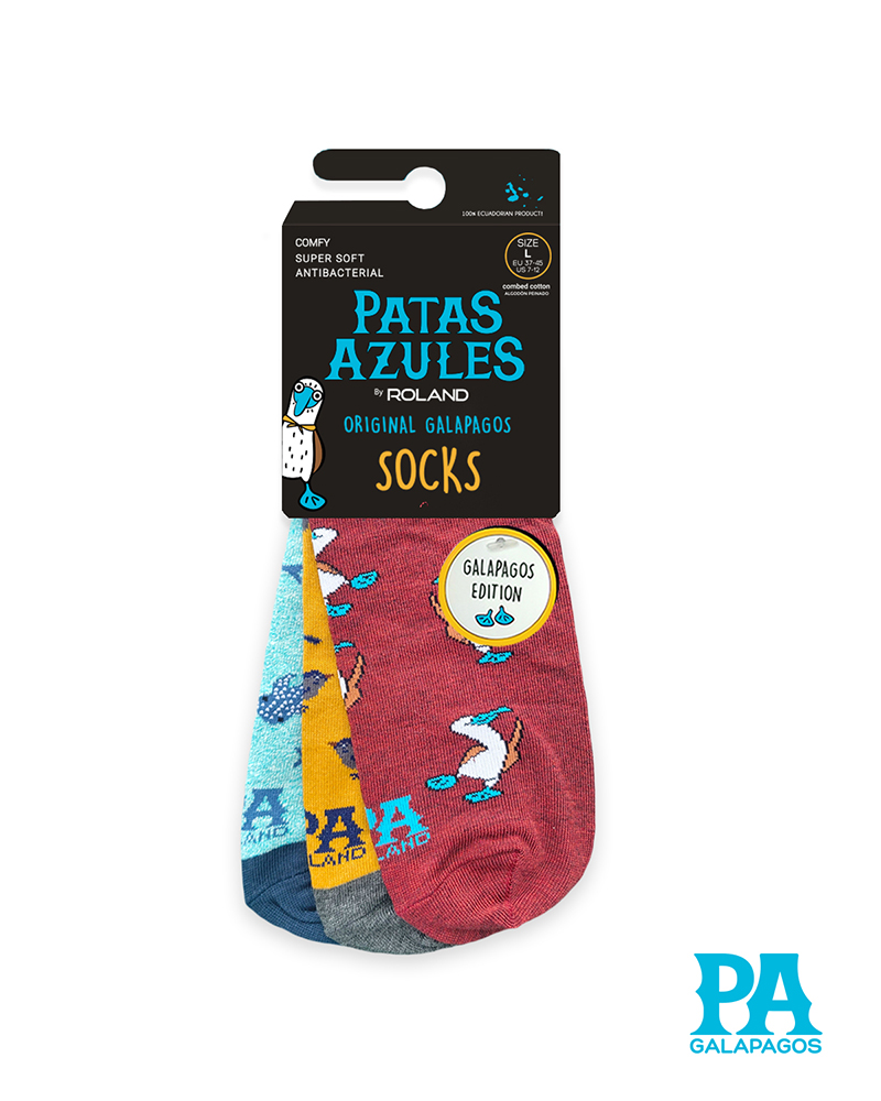 Pinzones Tiburones Ballena Y Piqueros - Image 2