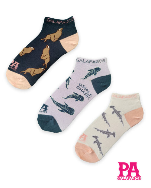 Tiburones Martillo Lobos Marinos Y Tiburones Ballena