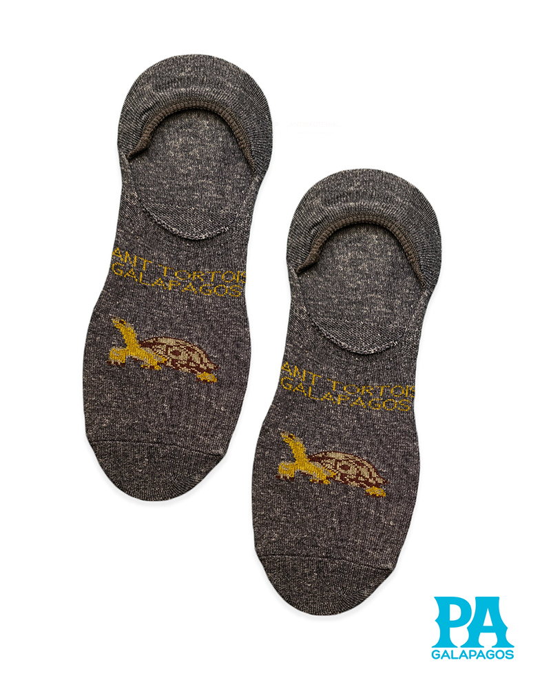 Tortuga Terrestre Fondo Gris Oscuro