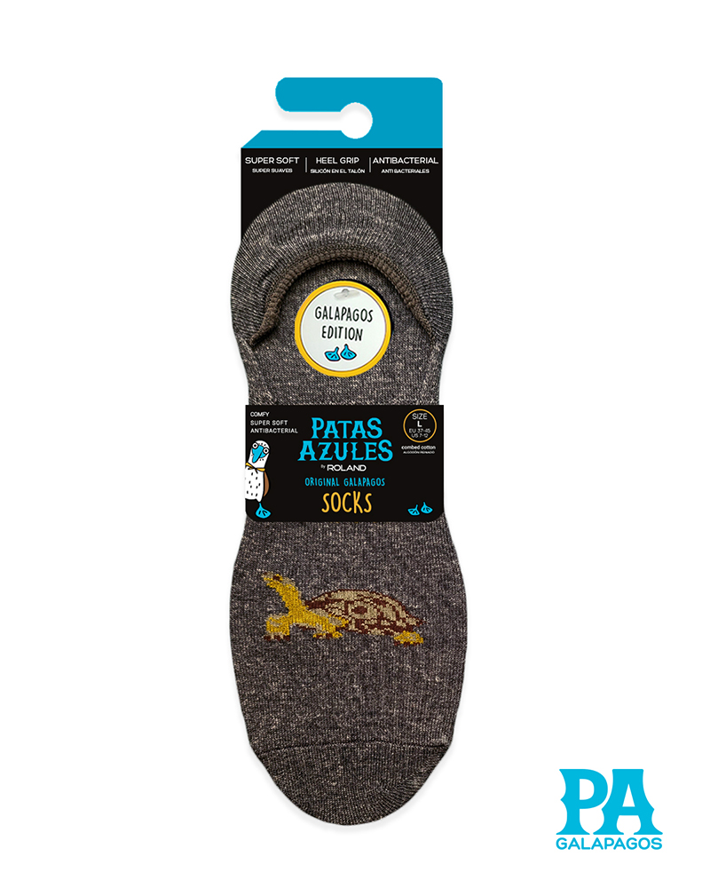 Tortuga Terrestre Fondo Gris Oscuro - Image 2