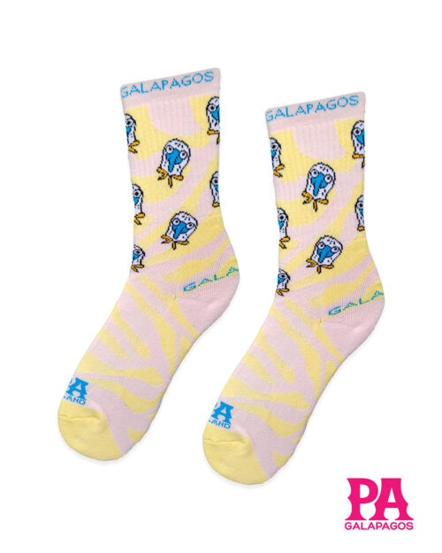 Cara piquero fondo rosa y amarillo