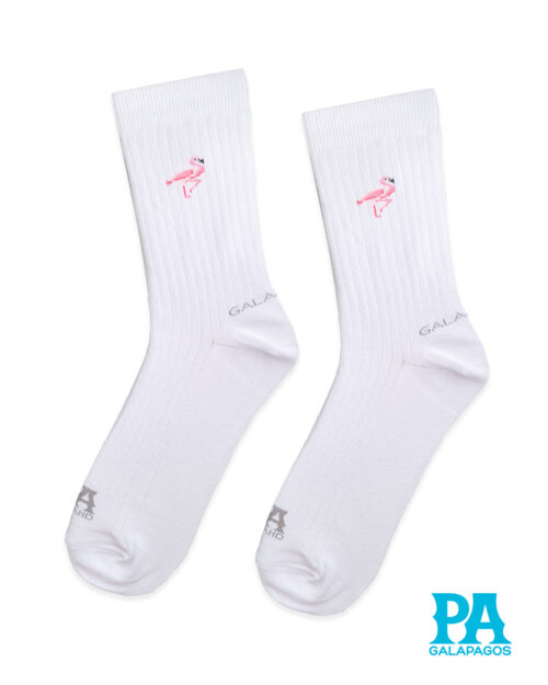 Flamingo fondo blanco