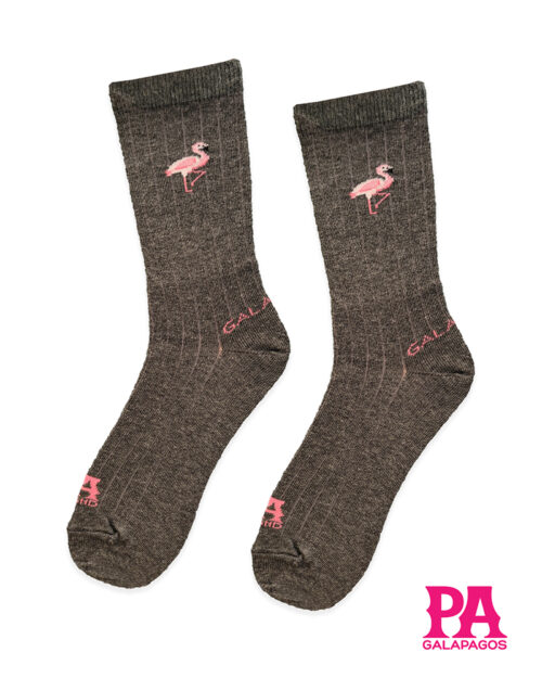 Flamingo fondo gris oscuro