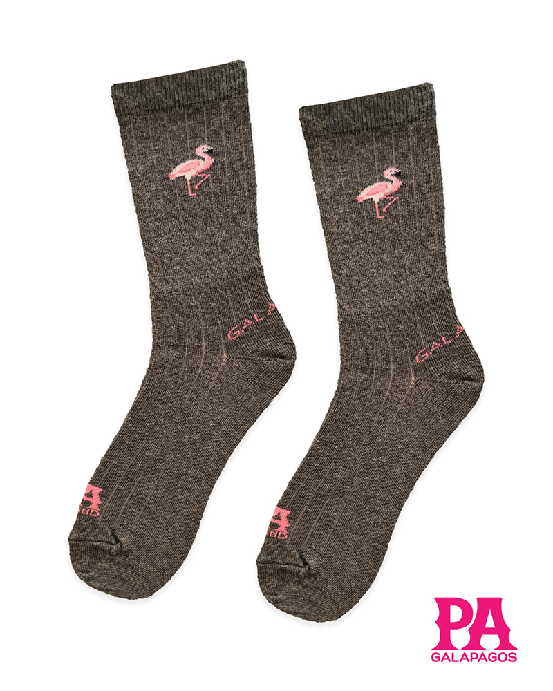 Flamingo fondo gris oscuro