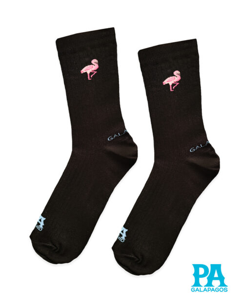 Flamingo fondo negro