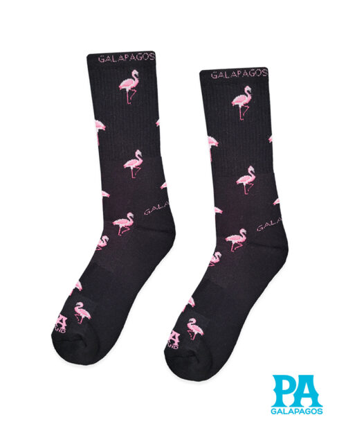 Flamingo rosa fondo negro