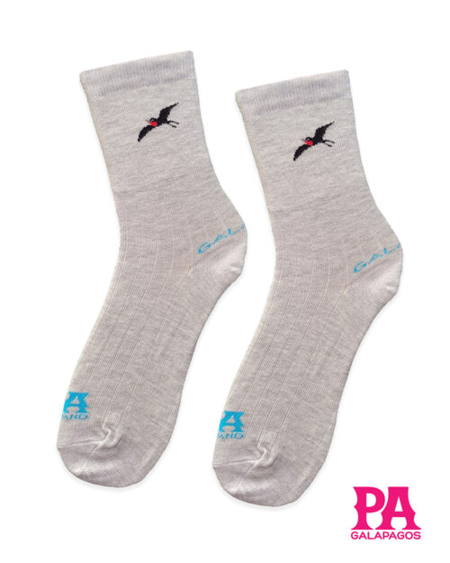 Fragata fondo gris claro