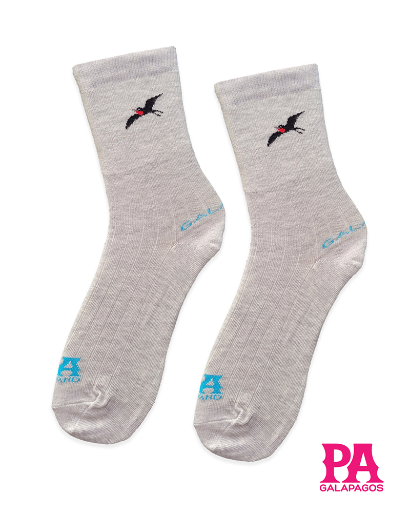 Fragata fondo gris claro