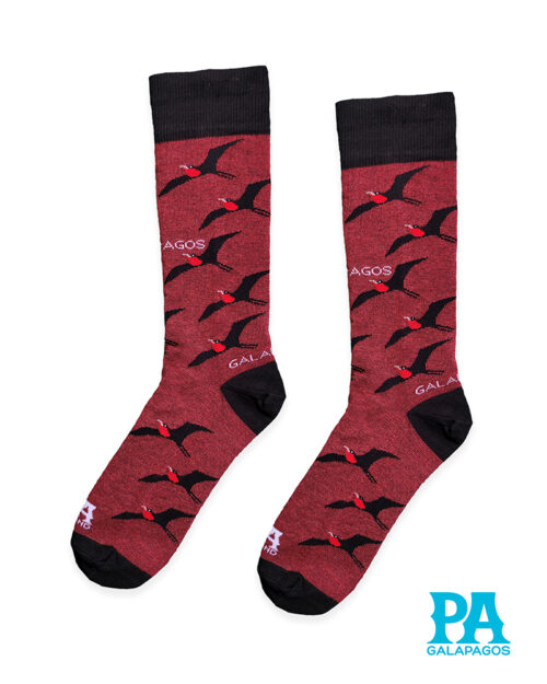 Fragatas volando fondo vino