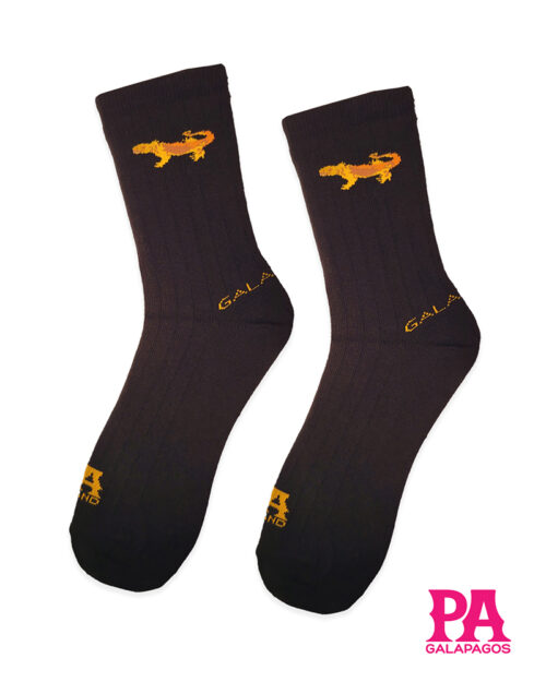 Iguana terrestre fondo negro