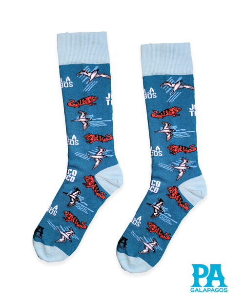 Iguanas rojas fondo azul kamerino