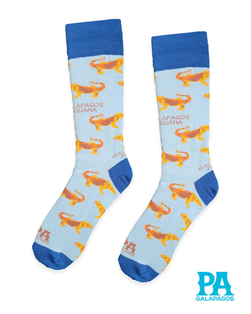 Iguanas terrestres fondo celeste claro