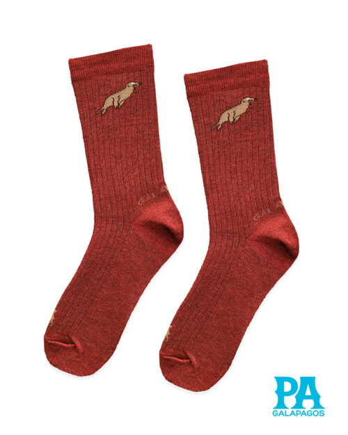 Lobo marino fondo vino