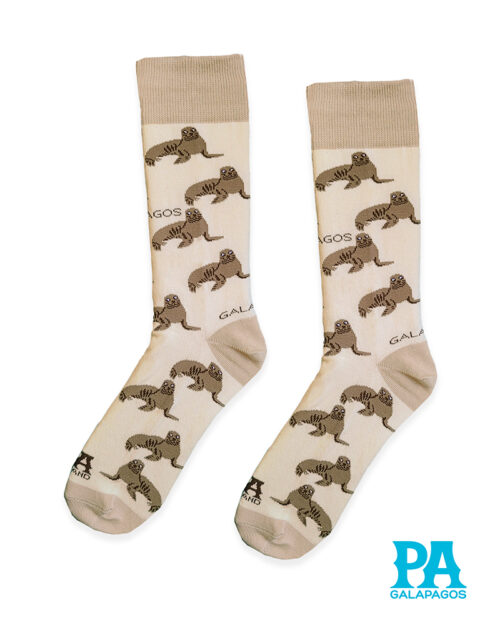 Lobos marinos fondo crudo