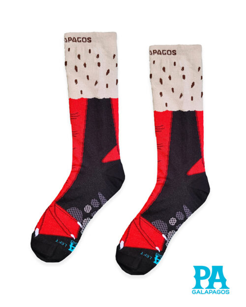 Patas piquero patas rojas