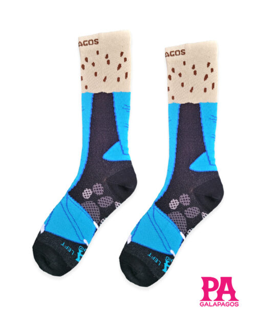 Patas piquero patas azules
