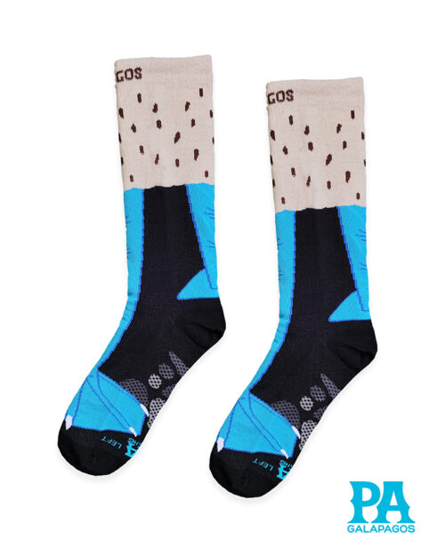 Patas piquero patas azules