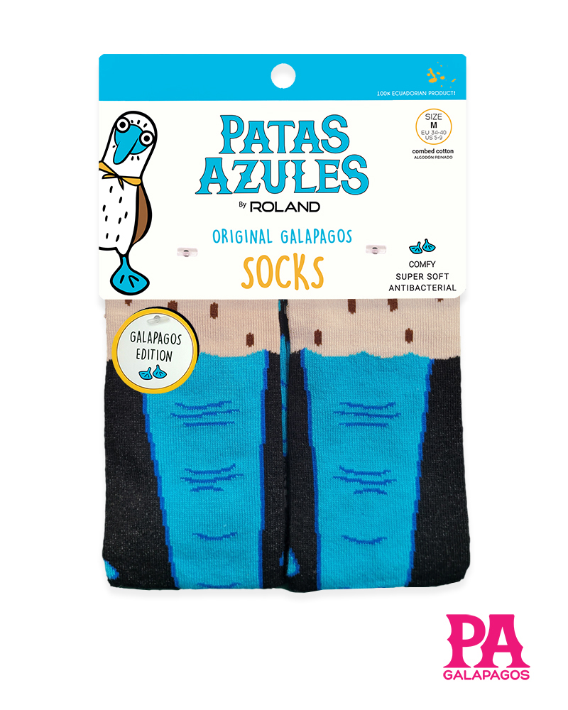 Patas piquero patas azules - Image 2