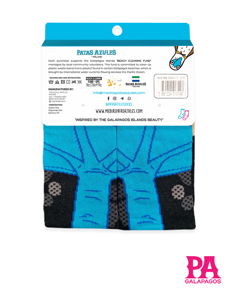 Patas piquero patas azules - Image 3