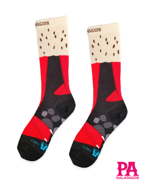 Patas piquero patas rojas