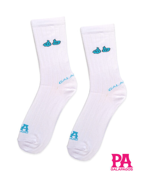 Patitas azules fondo blanco