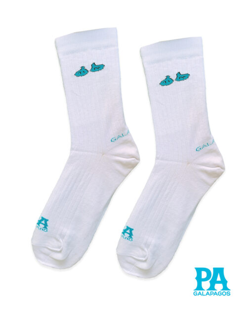 Patitas fondo blanco