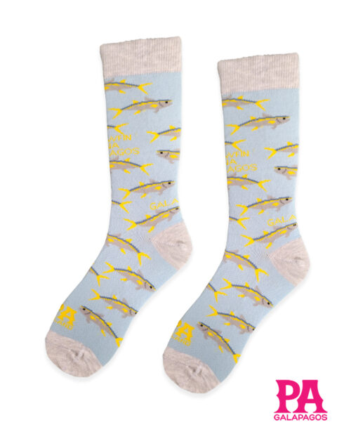 Pez atún fondo celeste