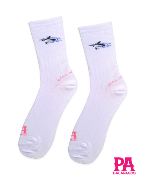 Pingüino fondo blanco