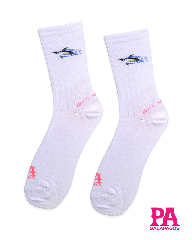 Pingüino fondo blanco