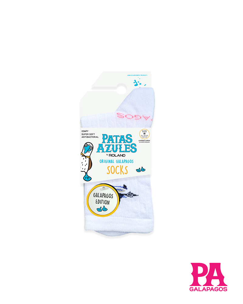 Pingüino fondo blanco - Image 2