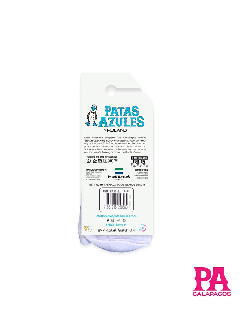 Pingüino fondo blanco - Image 3