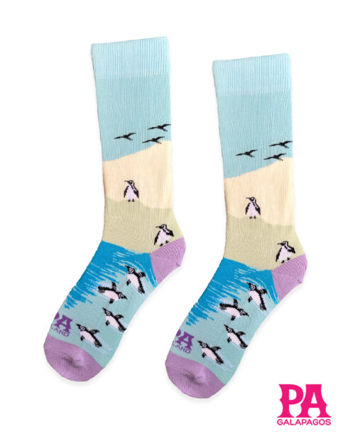 Pingüinos nadando fondo tres colores