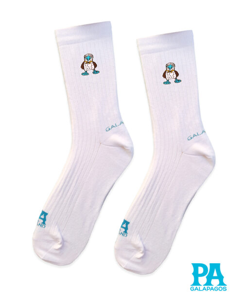 Piquero fondo blanco