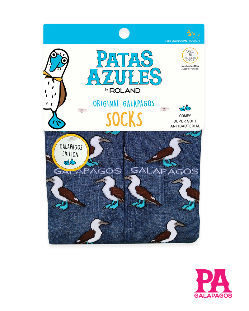 Piqueros patas azules fondo azul marino - Image 2