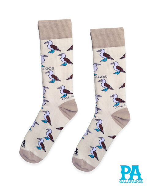 Piqueros patas azules fondo blanco hueso