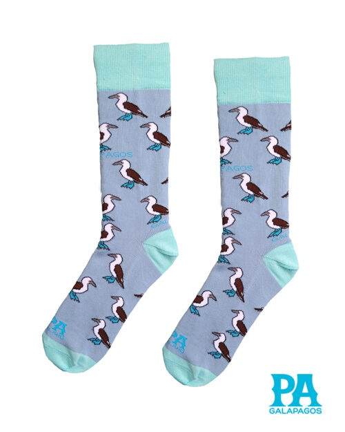 Piqueros patas azules fondo celeste bajo